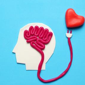 emotional intelligence